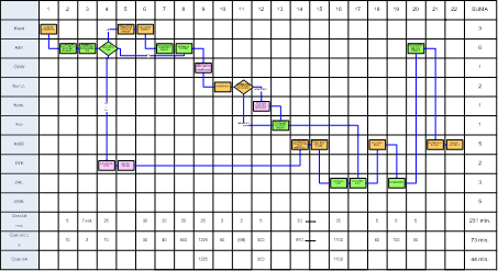 process mapping